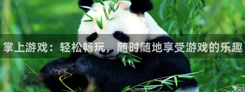 长征娱乐官方注册登录：掌上游戏：轻松畅玩，随时随地享受游戏的