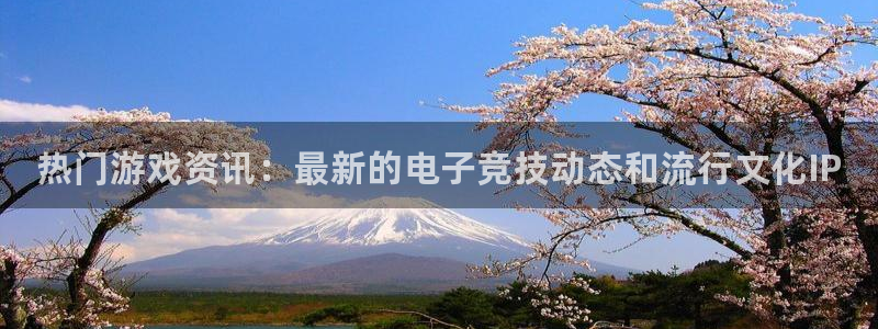 长征娱乐注册开户：热门游戏资讯：最新的电子竞技动态和流行文化