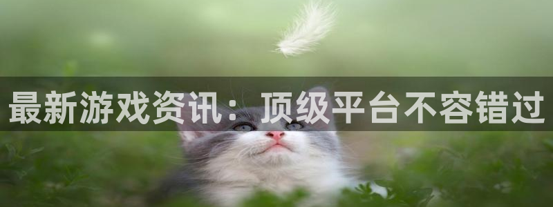 沐春长征娱乐：最新游戏资讯：顶级平台不容错过