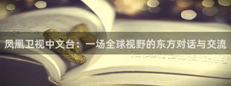 袋鼠直播在线观看：凤凰卫视中文台：一场全球视野的东方对话与交流