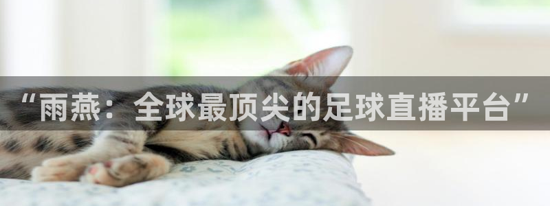 袋鼠直播nba体育：“雨燕：全球最顶尖的足球直播平台”