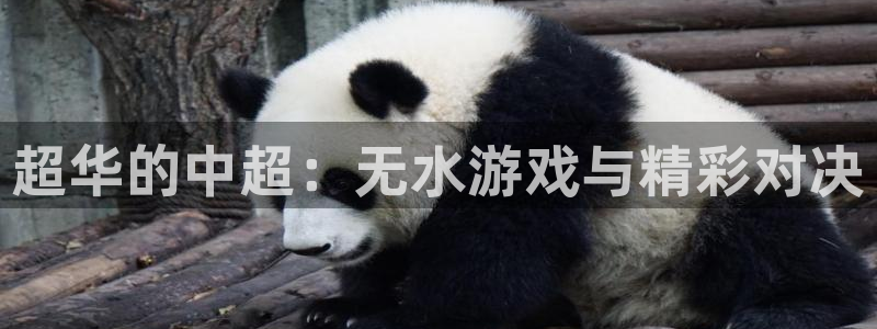 袋鼠体育直播官网：超华的中超：无水游戏与精彩对决