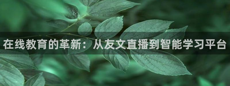 袋鼠直播在线观看nba：在线教育的革新：从友文直播到智能学习平台