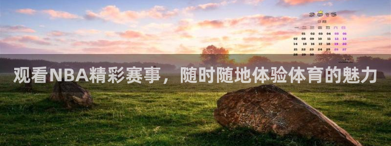 袋鼠直播体育五大球联赛：观看NBA精彩赛事，随时随地体验体育的魅力