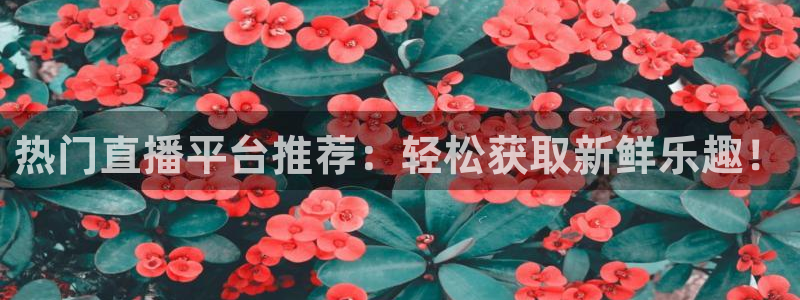 袋鼠直播nba在线看：热门直播平台推荐：轻松获取新鲜乐趣！