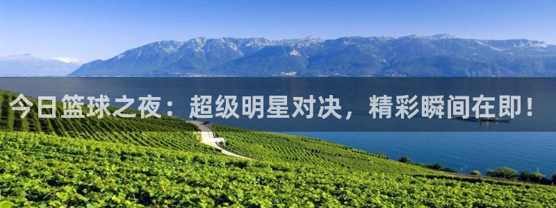袋鼠体育免费直播：今日篮球之夜：超级明星对决，精彩瞬间在即！