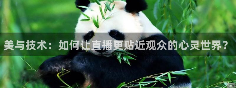 袋鼠直播体育
