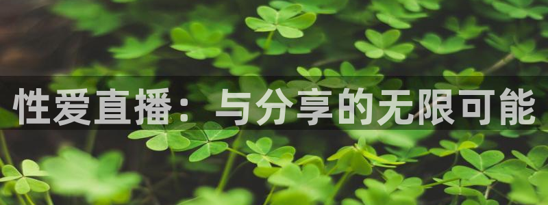 袋鼠体育nba直播