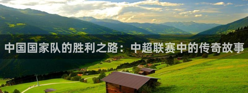袋鼠看球直播
