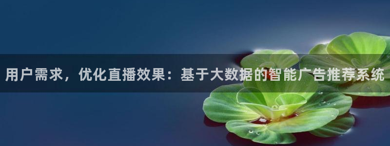 袋鼠体育免费观看：用户需求，优化直播效果：基于大数据的智能广告推荐系统