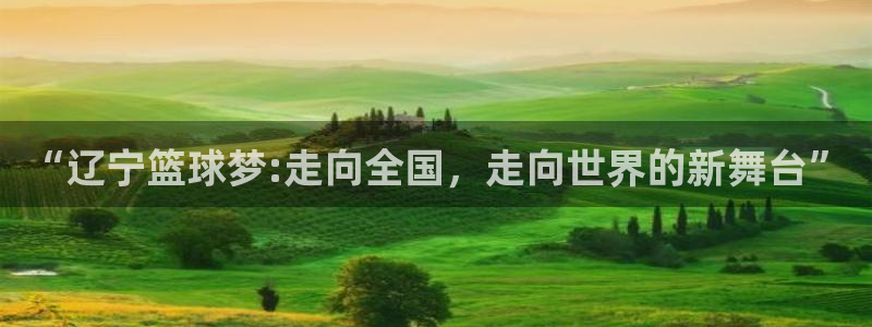 袋鼠nba体育：“辽宁篮球梦:走向全国，走向世界的新舞台”
