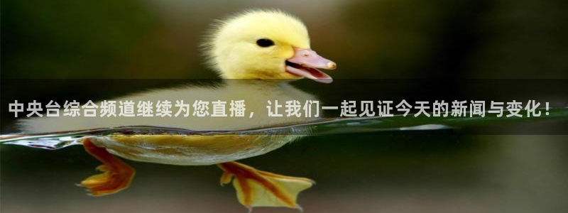 袋鼠体育免费观看：中央台综合频道继续为您直播，让我们一起见证今天的新闻与变化！