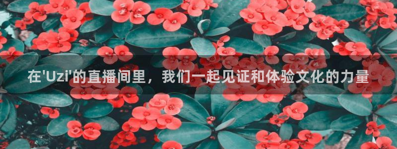 袋鼠nba体育：在\'Uzi\'的直播间里，我们一起见证和体验文化的力量